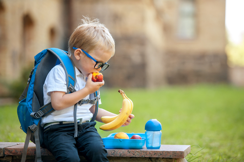 Nutrition for School-Age Children