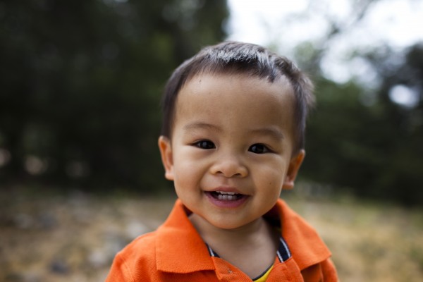 Chronic Lung Disease of Infancy