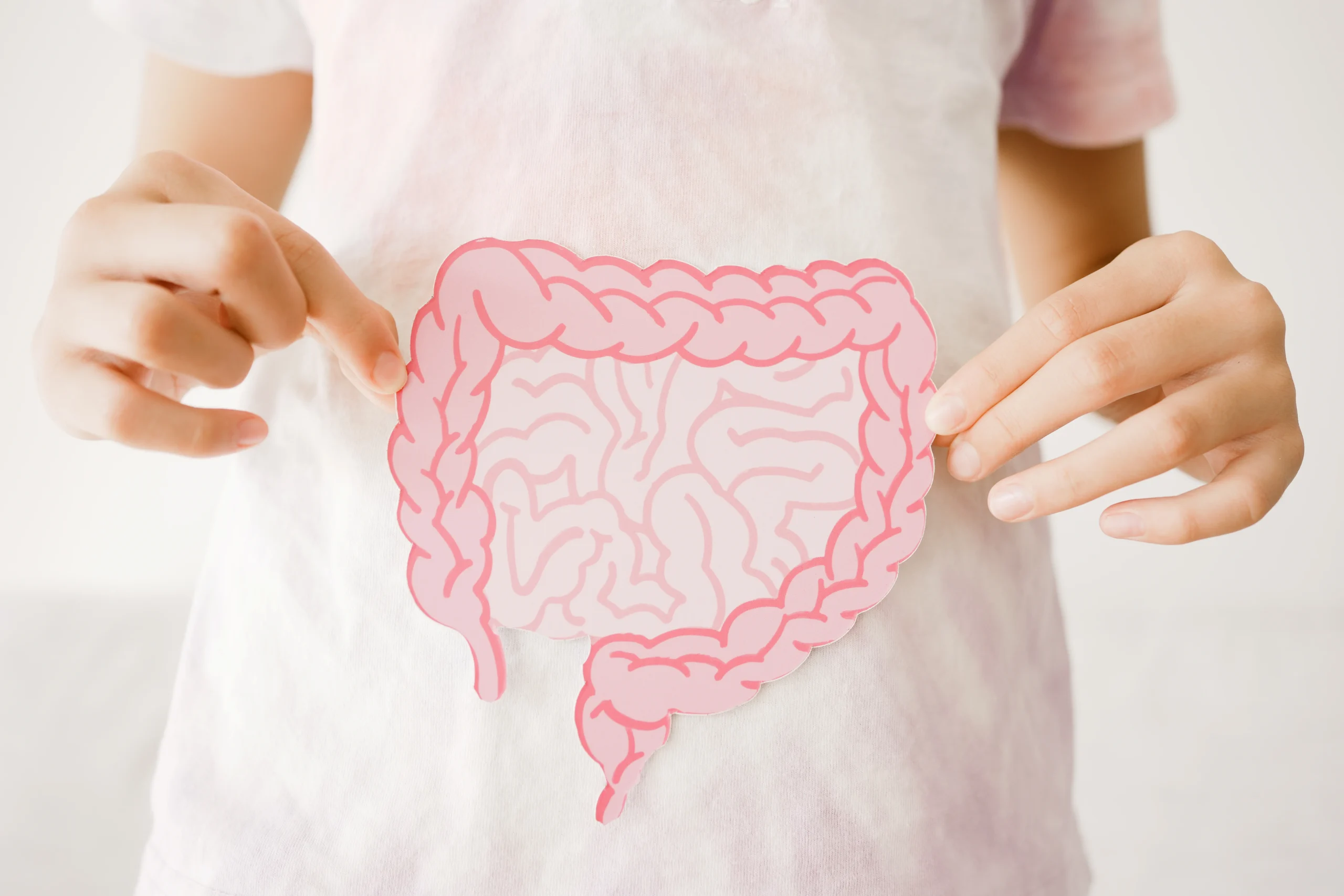 Child holds up image of digestive tract